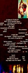 restrained within custody all alone   of not this world  oscillating strings  tears blood pharmaκι  the soul of the archetypal sufferer (MENIN AEIDE THEA 2010 - present)