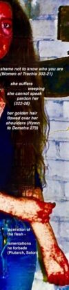the old man prayed as he walked in solitude to King Apollo whom Leto of the lovely hair bore ... 'make the Danaans pay for my tears shed' ... corpse fires burned ... not stop burning (Iliad I 35-52)