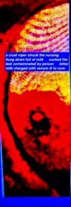 death was transferred from mother to child and at once by pitiless fate the breast bereft the young one the gift of life that it owed to the womb (Polyaenus of Sardis)
