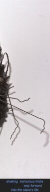 (TW 148-163) wire hangers